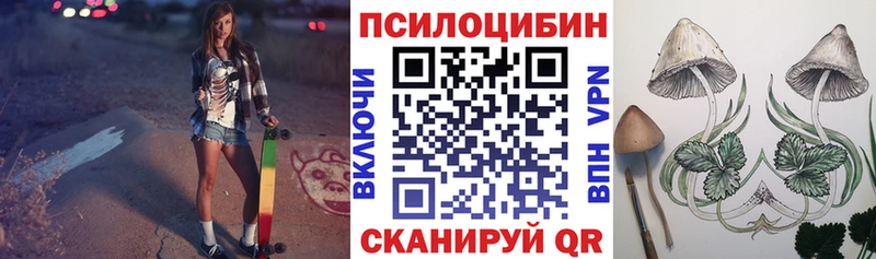 Псилоцибиновые грибы прущие грибы  где продают наркотики  Полярные Зори 